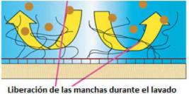 Simulación del efecto soil release